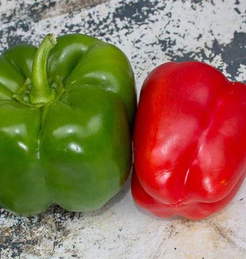 PP620 Pepper California Wonder